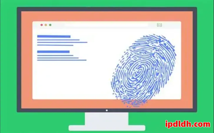 紫鸟浏览器与Incogniton全景对比：谁更值得长期使用 第1张