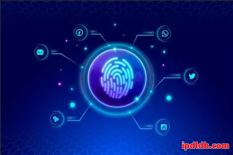 跨境工具选择：紫鸟浏览器与AntBrowser实用性全解析 第1张