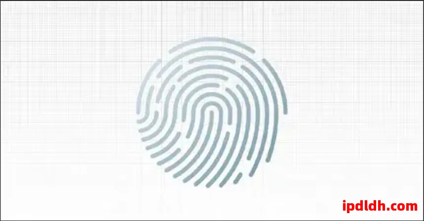 紫鸟浏览器与Indigo Browser五大维度对比，助你选择合适工具 第1张